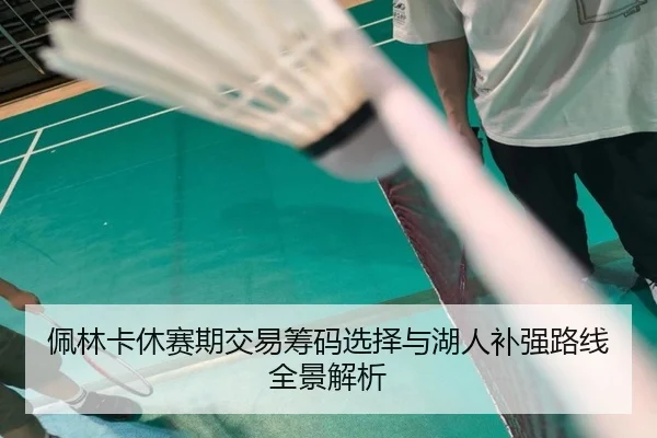 佩林卡休赛期交易筹码选择与湖人补强路线全景解析