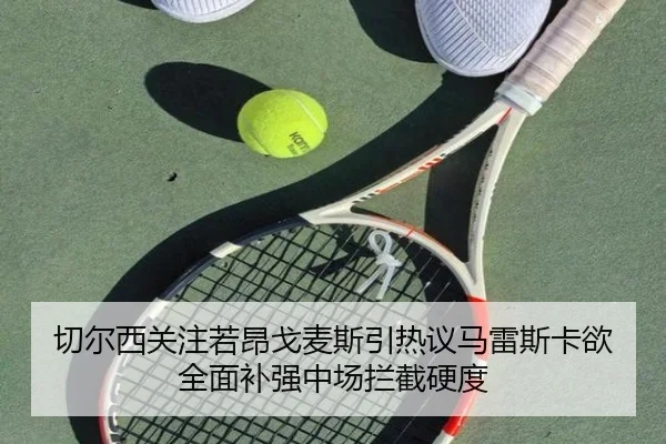 切尔西关注若昂戈麦斯引热议马雷斯卡欲全面补强中场拦截硬度